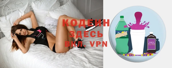ПСИЛОЦИБИНОВЫЕ ГРИБЫ Няндома