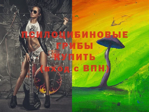спайс Нягань