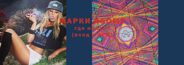 ПСИЛОЦИБИНОВЫЕ ГРИБЫ Няндома