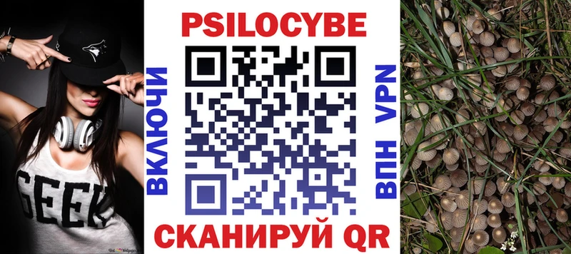 блэк спрут сайт Опочка Псилоцибиновые грибы GOLDEN TEACHER купить наркоту